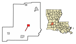 Allen Parish Louisiana Incorporated and Unincorporated areas Oberlin Highlighted